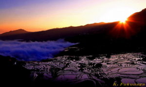 1月に行われる祭りや行事についてです。(国内+海外) 最近の記事(一覧)