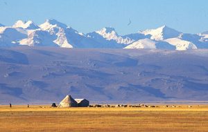 (う)　ウイグル(中国)