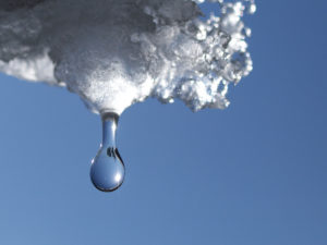 口の中で〃じわっ~〃と溶け出すお刺身!!思わず日本人に生まれてよかったと思う瞬間がやって来ます。 最近の記事(一覧)