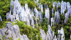 4グヌン・ムル国立公園(ミリ) マレーシア(ボルネオ島)
