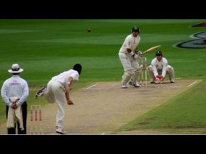 1 国土、気候、言語、 インドの基本情報