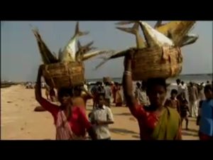 5ブバネッシュワール+プリー ~ヒンドゥー遺跡 (ひ) 東インド