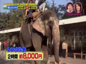 9 動物事情 インドの基本情報