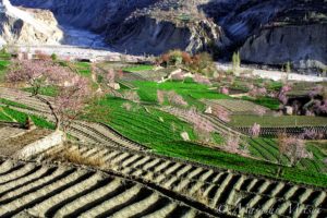 2桃源郷フンザ (は) パキスタン