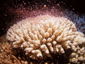 4月に行われる祭りや行事を紹介します。 最近の記事(一覧)