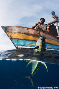 特集!太平洋の島国!第8弾と9弾!!フィジー&サモア!!! 最近の記事(一覧)