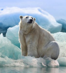 8マニトバ州の名所 カナダ中央東