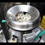 最近の記事(一覧)