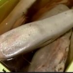 仙台の牛タン(宮城県)