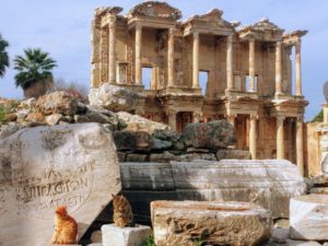 8エフェス(アフロディシアス)遺跡 エーゲ海周辺とトルコ西部