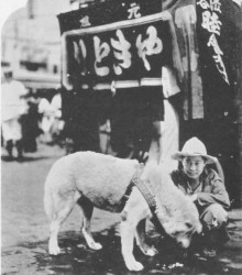 (中堅ハチ公 4) 上野先生との悲しい別れ! 中堅ハチ公(15)