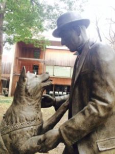 (中堅ハチ公10) 夢にまで見た再会の日! 中堅ハチ公(15)