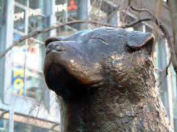 (中堅ハチ公 6) 野犬に左耳をやられる 中堅ハチ公(15)