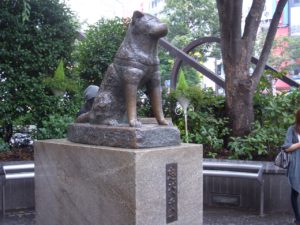 (中堅ハチ公14) 復興の第一歩!新ハチ公像再建!! 中堅ハチ公(15)