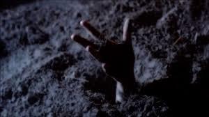 小笠原諸島＜硫黄島＞(14)