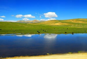 世界旅行計画2018最新版〃2月号〃(201位~250位) 世界旅行ランキング(日本国内とその周辺国)