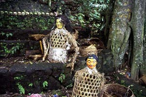 インドネシア バリ島 暗く800年間も閉ざされてきた怖~い村 インドネシア