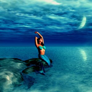 夢の国の港　東京ディズニーシー(79)