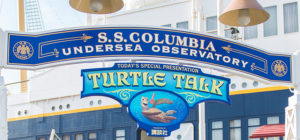 東京ディズニーシーからウミガメの名俳優〃クラッシュ〃と〃リトルマーメイド〃の世界! (と) ーーーー東京(関東)----