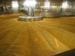 水戸納豆1(茨木県)体にいい食べ物を作る工場に潜入! 最近の記事(一覧)