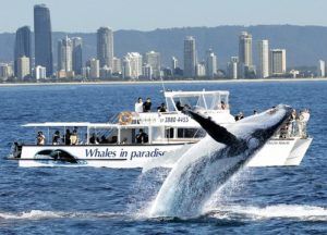 世界旅行ランキング(日本から8.000キロ圏内)