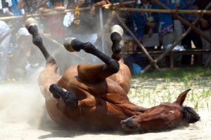 いろは坂(栃木)