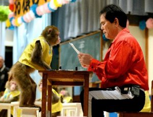 日光猿軍団(栃木)9 廃校そして涙の卒業式! 日光猿軍団