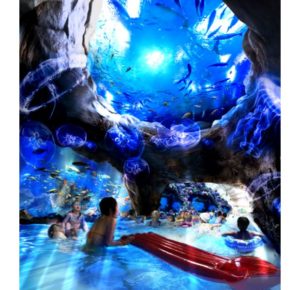 ハワイアン温泉(福島)