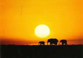 野口英世(福島)12 英世!異国アフリカの地で無念の死を遂げる!! 最近の記事(一覧)