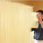 稲庭うどん(秋田)1 白い龍の優雅な舞! 最近の記事(一覧)